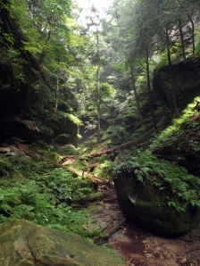 conkle's hollow, hocking hills